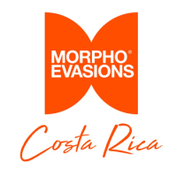 MORPHO EVASIONS COSTA RICA