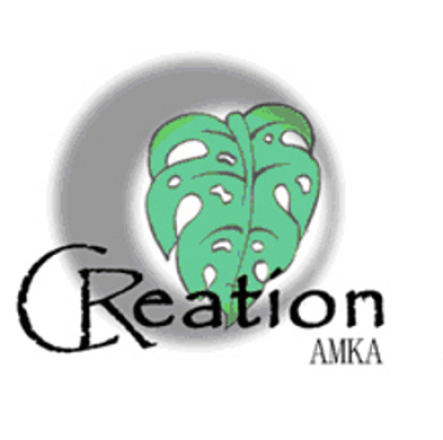 GREEN CREATION COSTA RICA