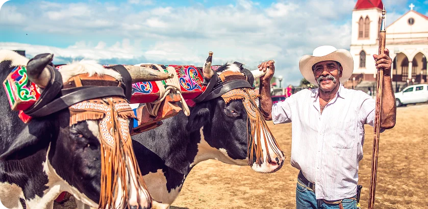 fotografía de un señor con sus bueyes y la carreta