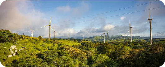 fotografía de las eólicas rodeada de la naturaleza