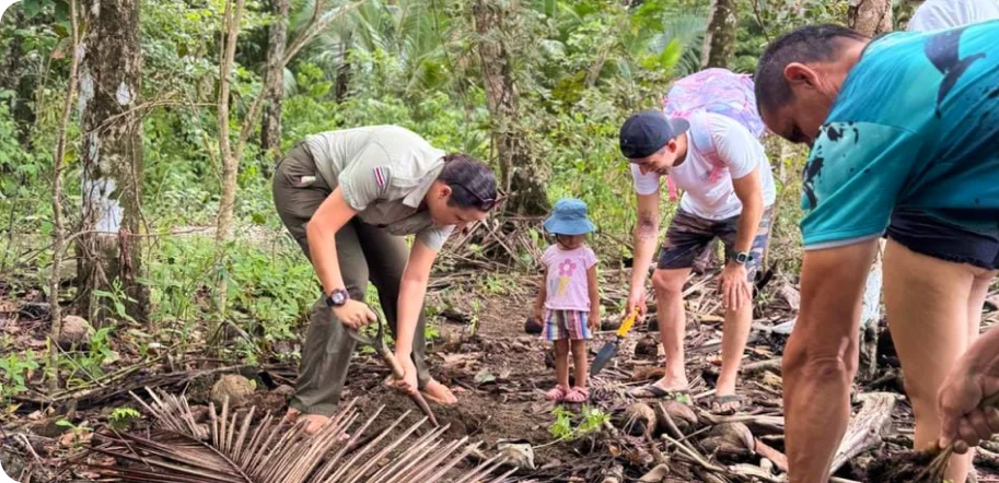 personas en el bosque sacando tierra con una pala