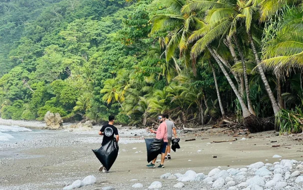 personas recogiendo basura por la playa